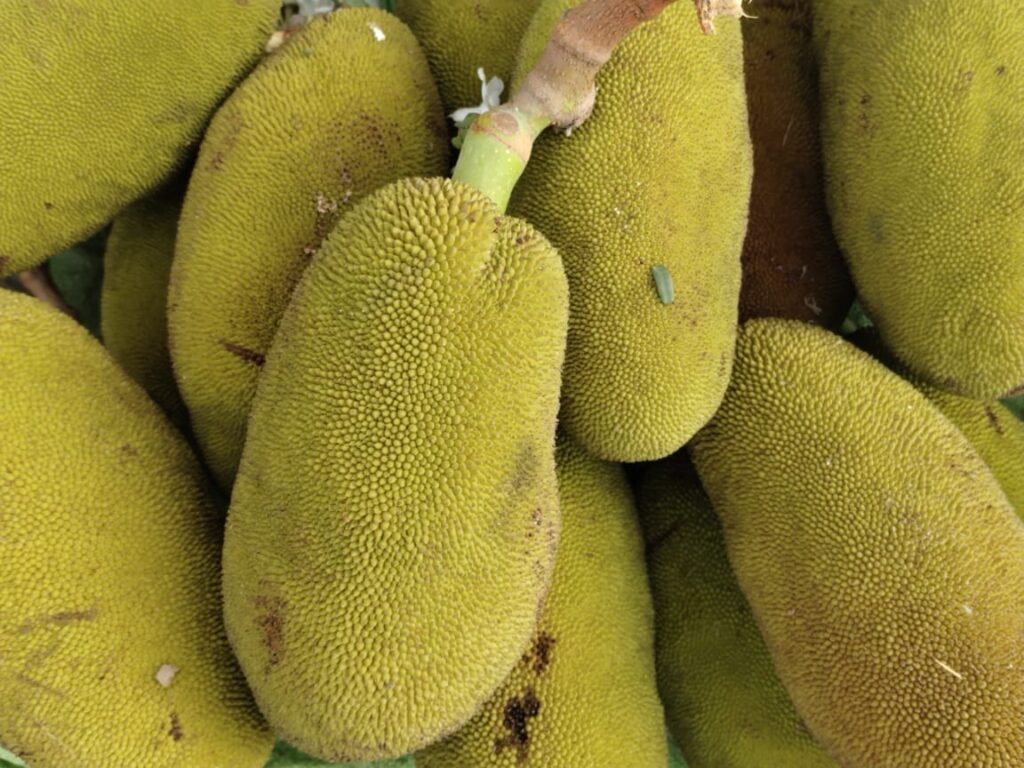 jackfruit