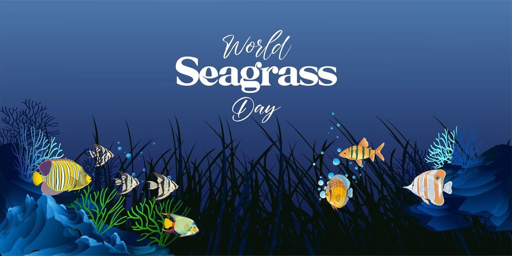 World Seagrass Day