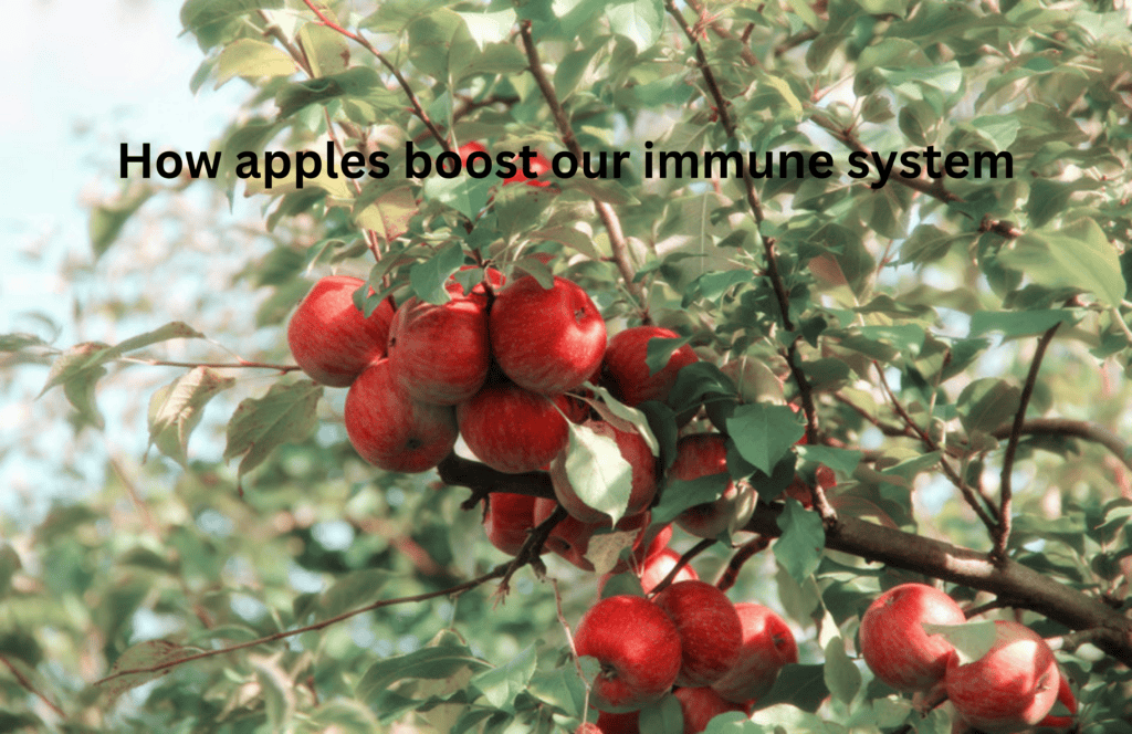 how apple boost our immune system